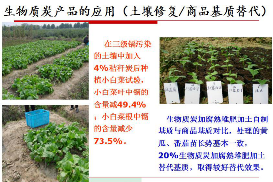 仟億達生物質氣化發電帶來的社會效益